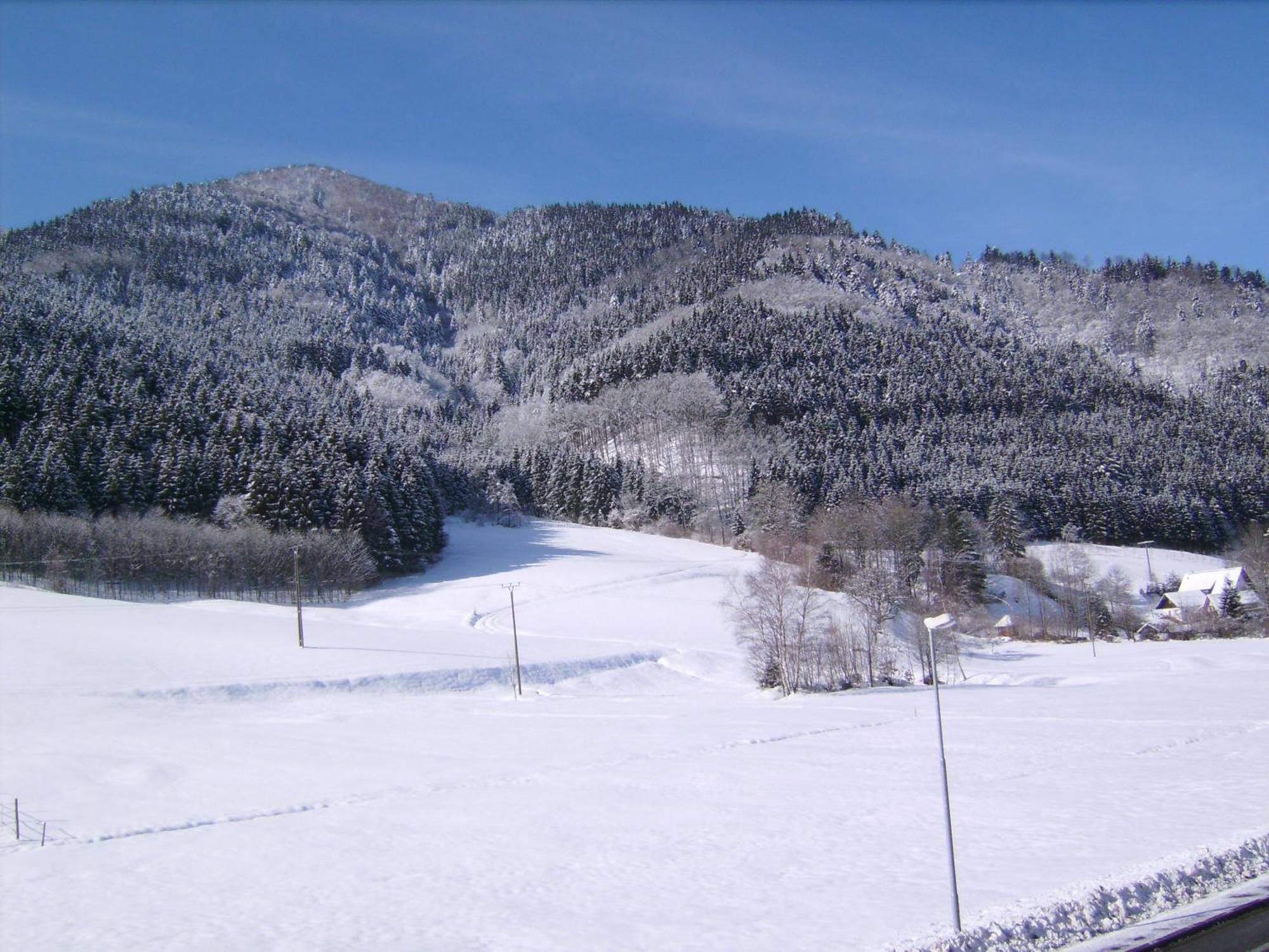 Gasthaus Zur Erle Simonswald Esterno foto