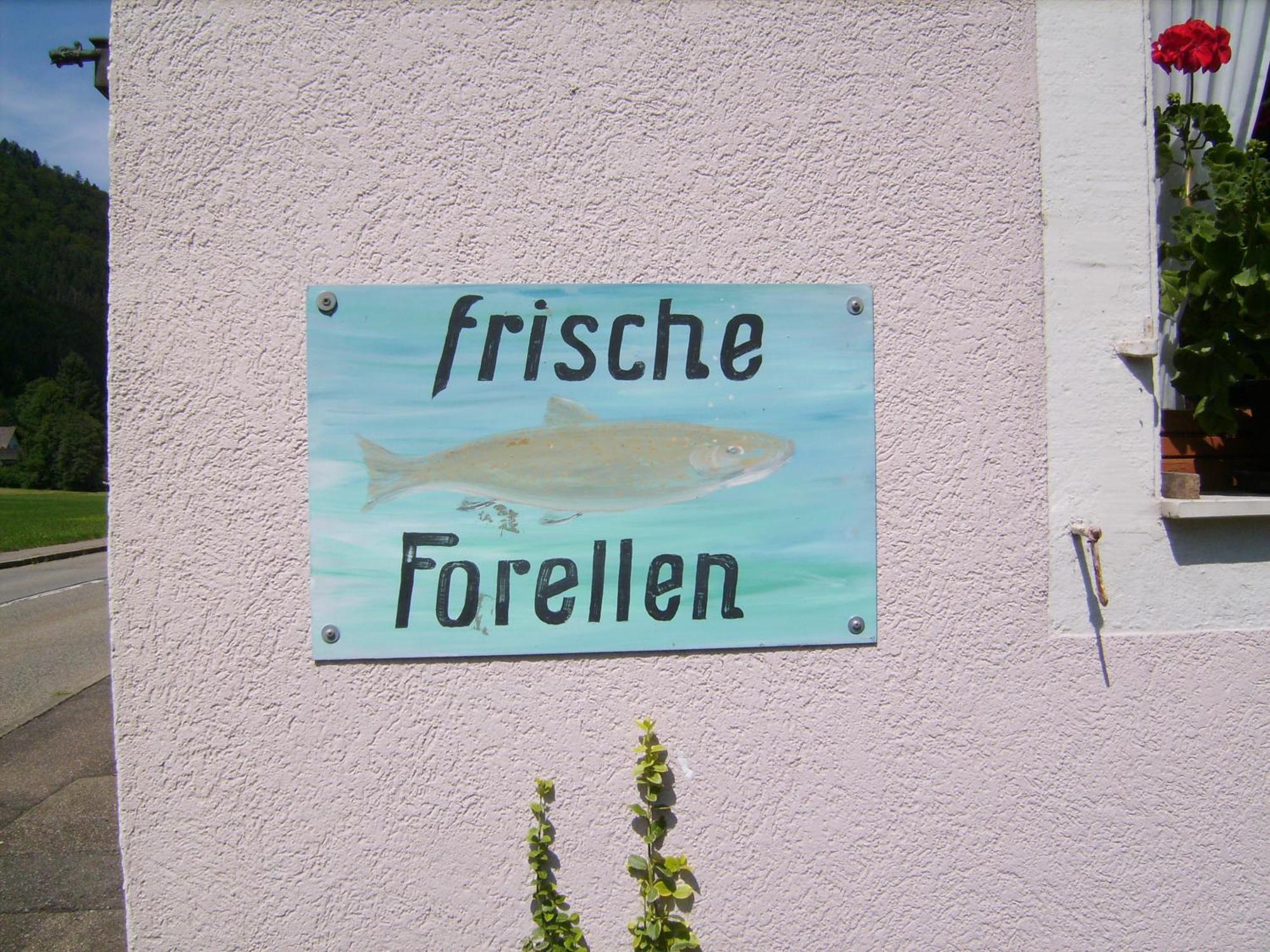 Gasthaus Zur Erle Simonswald Esterno foto